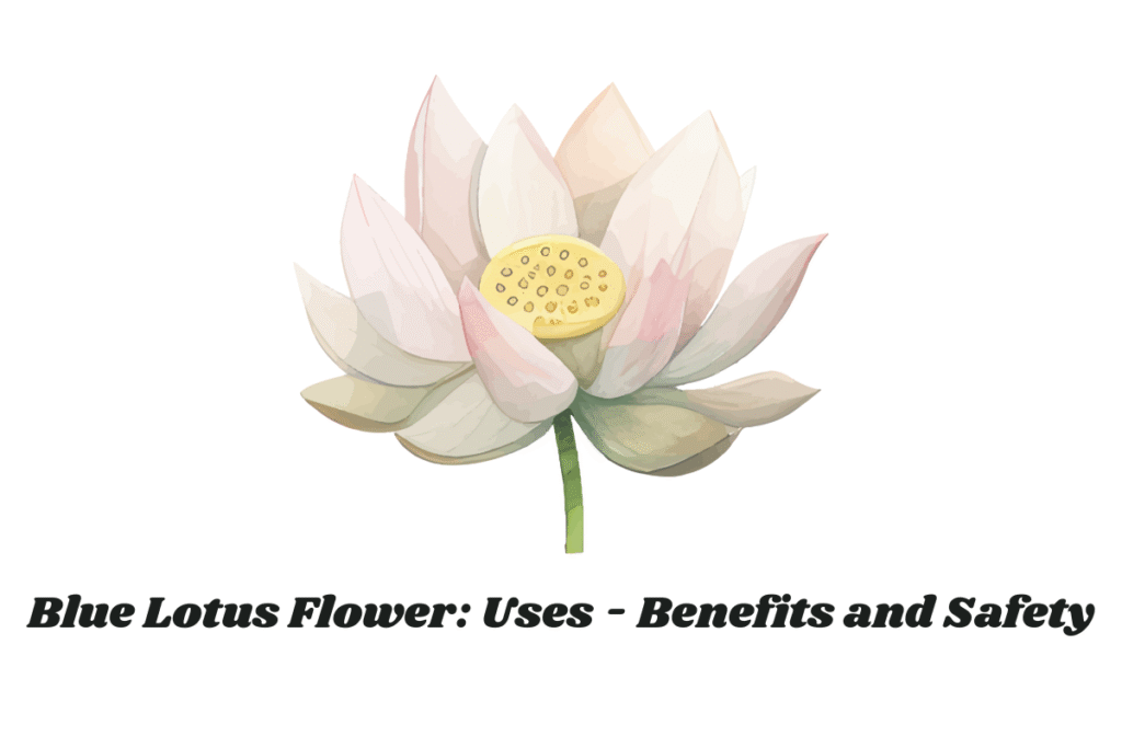 Blue Lotus Flower: Uses - Benefits and Safety