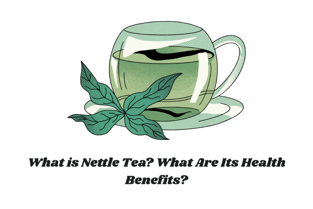 What is Nettle Tea? What Are Its Health Benefits?