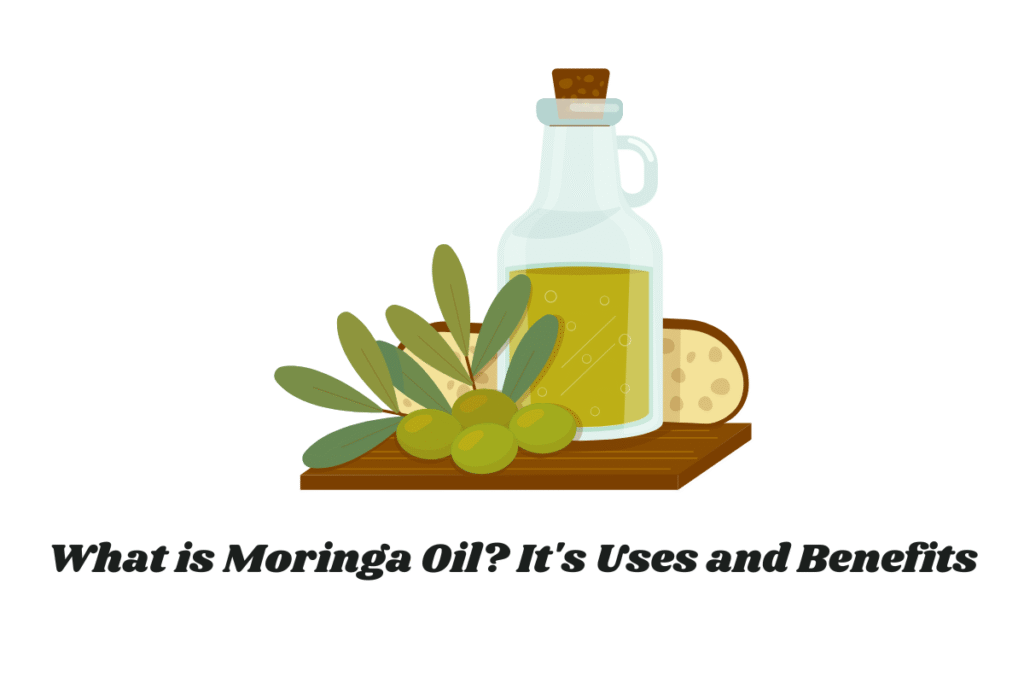 What is Moringa Oil? It's Uses and Benefits