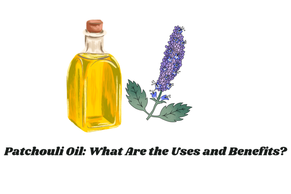 Patchouli Oil: What Are the Uses and Benefits?